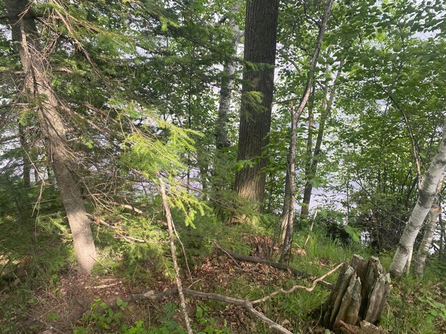 XXA Sprandel Rd, Finlayson, MN 55735 - photo 10