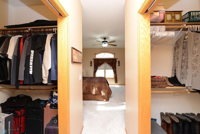 spacious closet featuring a ceiling fan and carpet