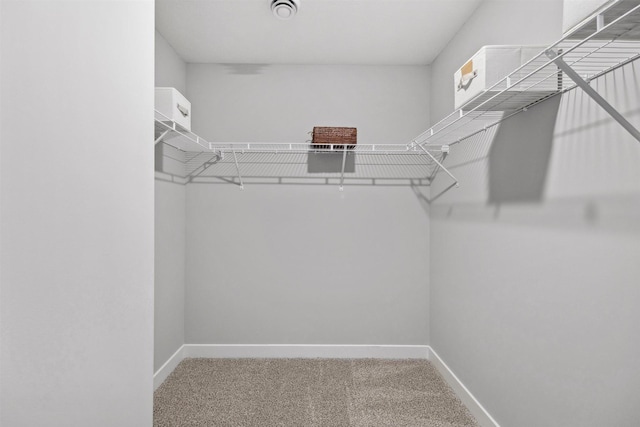 walk in closet featuring carpet