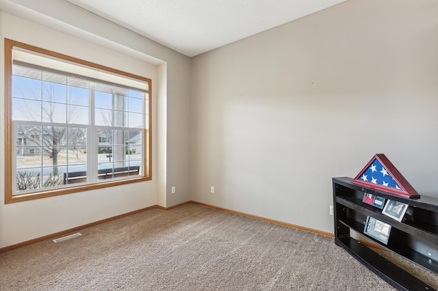 2316 Coldwater Xing, Mayer, MN 55360 - carpeted spare room with baseboards