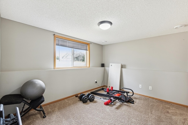 2316 Coldwater Xing, Mayer, MN 55360 - exercise area featuring carpet, a textured ceiling, and baseboards