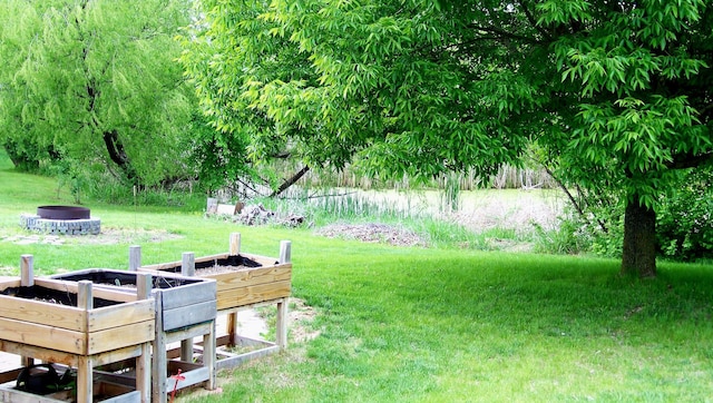 2316 Coldwater Xing, Mayer, MN 55360 - view of green lawn with a fire pit