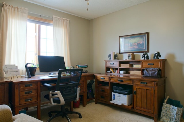 office area with light carpet