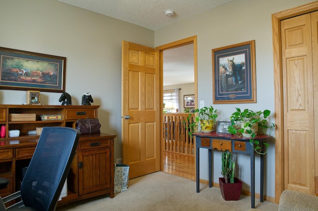 office featuring baseboards, light colored carpet, and a textured ceiling