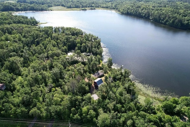 aerial view featuring a view of trees and a water view