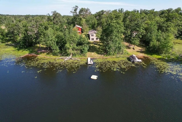 bird's eye view featuring a view of trees and a water view