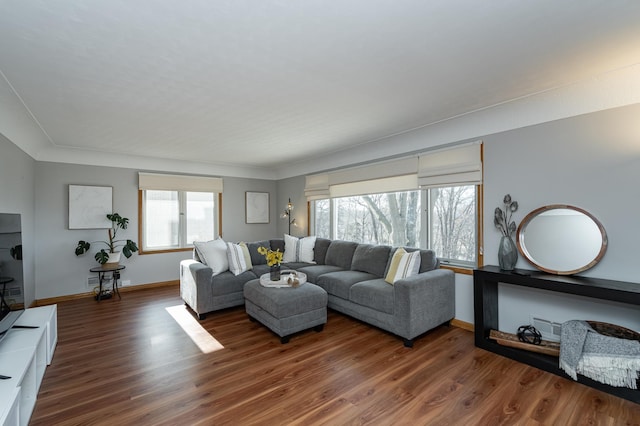 living room featuring baseboards and wood finished floors