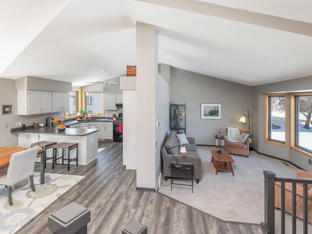 living room featuring baseboards, lofted ceiling, and wood finished floors