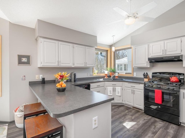 kitchen featuring a sink, dark countertops, under cabinet range hood, and black gas stove