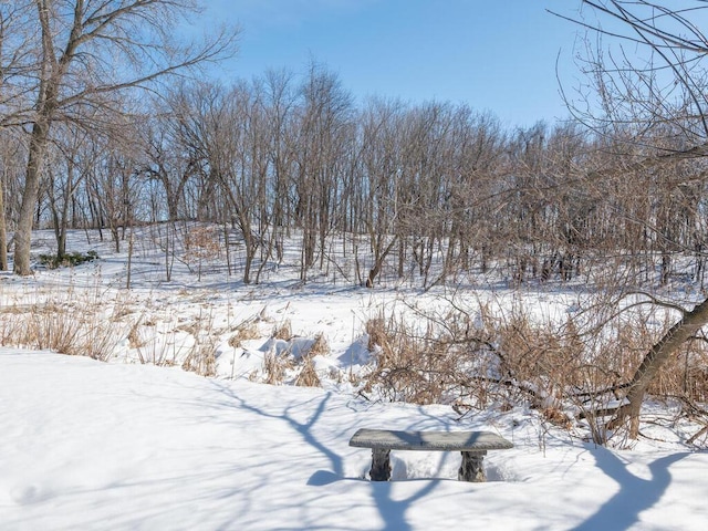 view of yard covered in snow