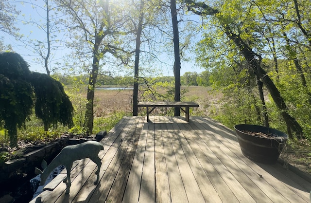 6 Crocus Ln, North Oaks, MN 55127 - view of deck