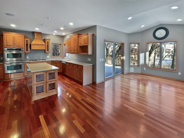 2412 132nd Ave NE, Blaine, MN 55449 - kitchen featuring glass insert cabinets, custom range hood, brown cabinets, stainless steel appliances, and dark wood-style flooring