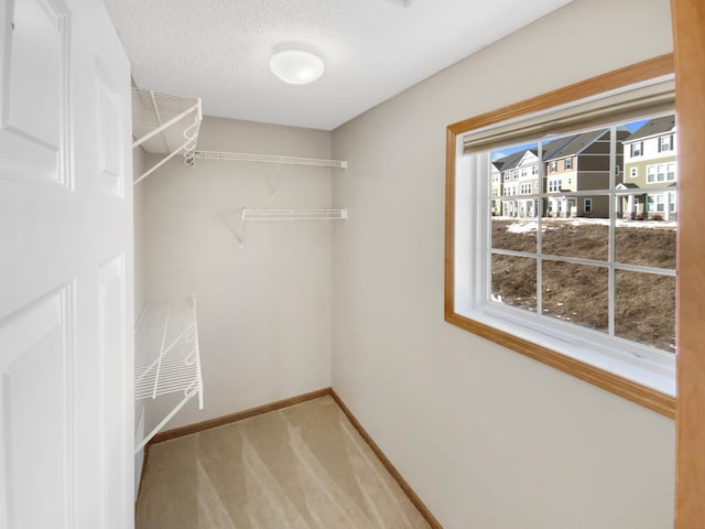 spacious closet with carpet flooring