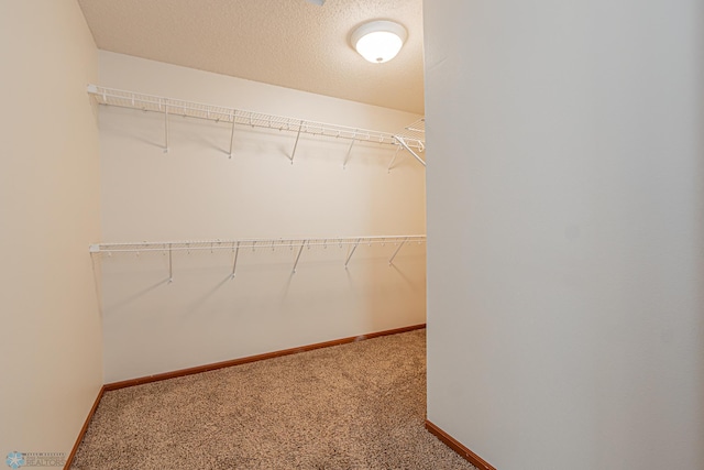 spacious closet with carpet flooring