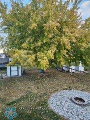 view of yard featuring a fire pit