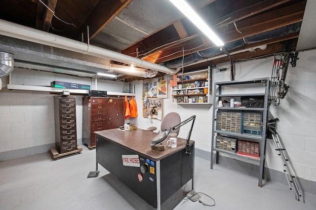 unfinished basement with concrete block wall