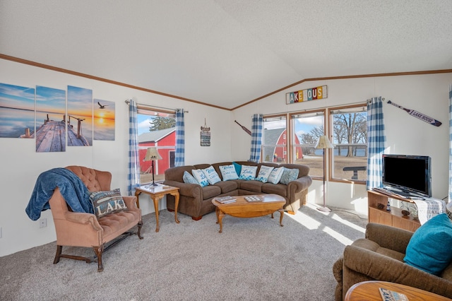 carpeted living room with a textured ceiling, crown molding, and lofted ceiling