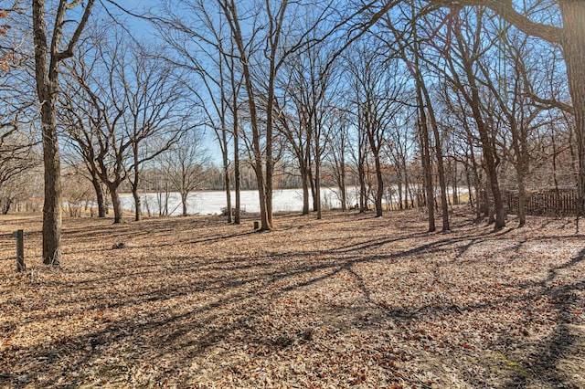 view of yard featuring a water view