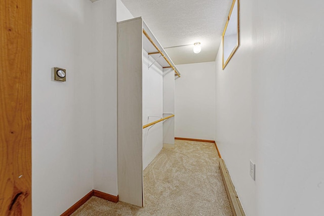 walk in closet featuring carpet flooring