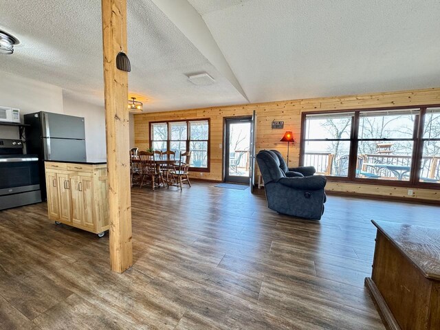 28887 Hi Vista Dr, Otter Tail Twp, MN 56515 - living room with wooden walls, dark wood finished floors, and a textured ceiling