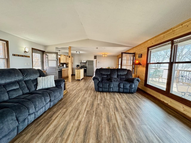 28887 Hi Vista Dr, Otter Tail Twp, MN 56515 - living room with dark wood-style flooring, wooden walls, and vaulted ceiling