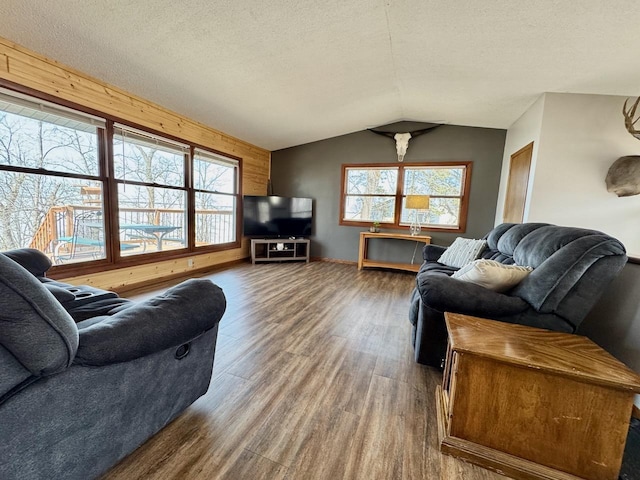 28887 Hi Vista Dr, Otter Tail Twp, MN 56515 - living area featuring wood finished floors, vaulted ceiling, a textured ceiling, and baseboards