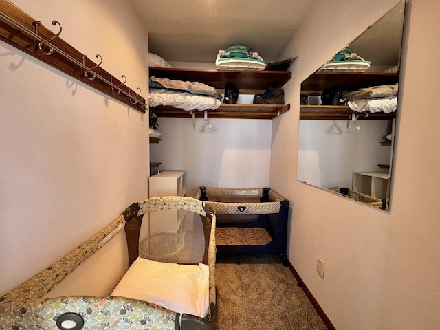 28887 Hi Vista Dr, Otter Tail Twp, MN 56515 - spacious closet featuring carpet