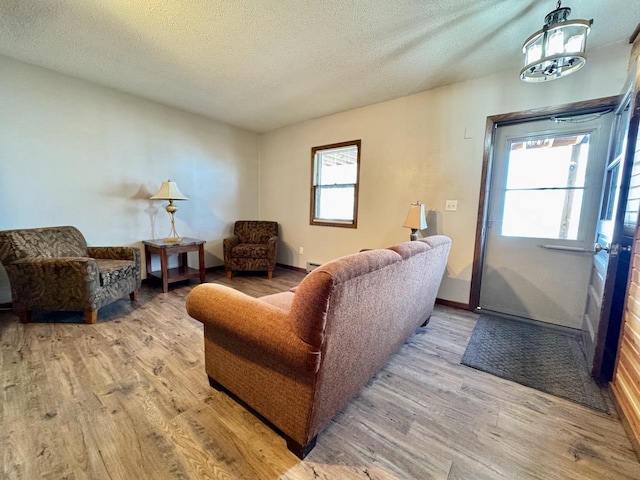 28887 Hi Vista Dr, Otter Tail Twp, MN 56515 - living room featuring wood finished floors, a textured ceiling, and baseboards