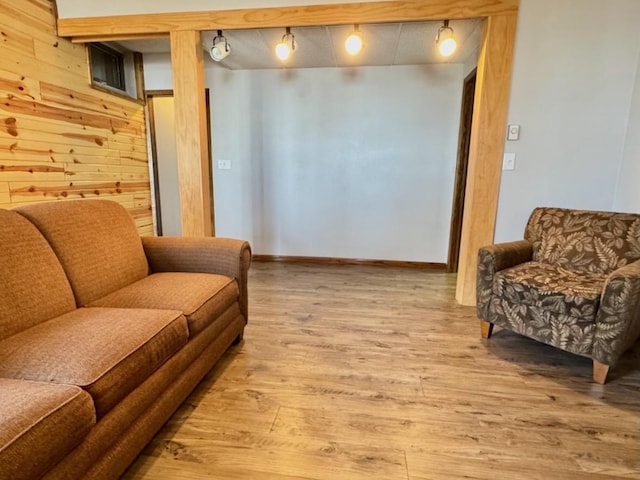 28887 Hi Vista Dr, Otter Tail Twp, MN 56515 - living room with wood finished floors, rail lighting, and wood walls