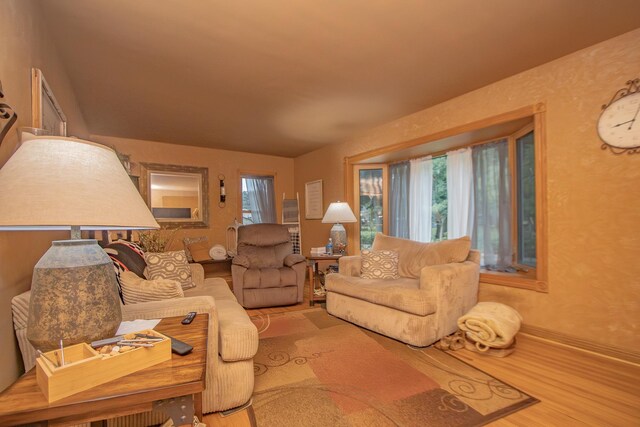 living room featuring wood finished floors and baseboards