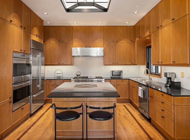 5123 Lake Ridge Rd, Edina, MN 55436 - kitchen with a sink, appliances with stainless steel finishes, light wood-style flooring, under cabinet range hood, and recessed lighting