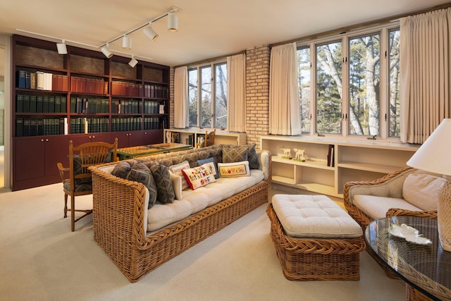5123 Lake Ridge Rd, Edina, MN 55436 - sitting room with rail lighting and carpet floors