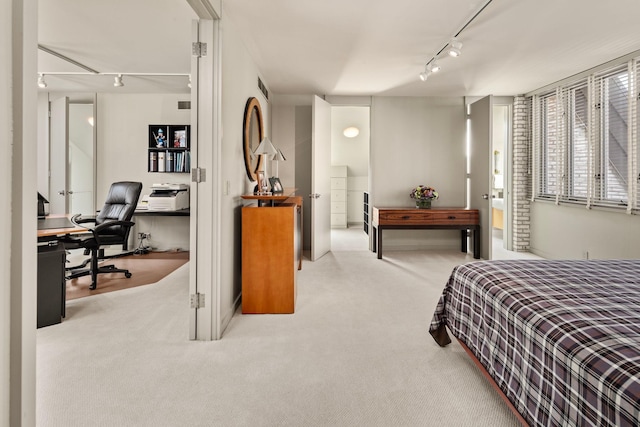5123 Lake Ridge Rd, Edina, MN 55436 - bedroom featuring carpet floors, a desk, rail lighting, and ensuite bath