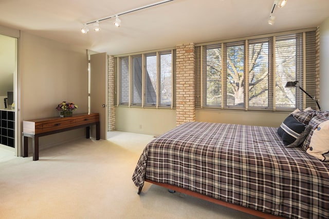 5123 Lake Ridge Rd, Edina, MN 55436 - bedroom featuring track lighting and carpet floors