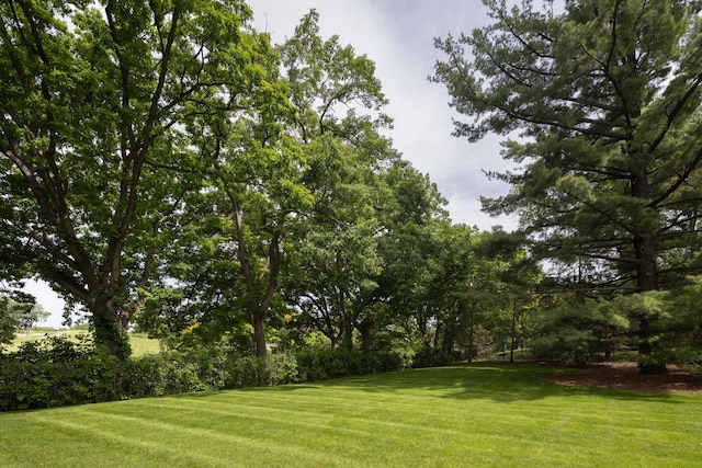 5123 Lake Ridge Rd, Edina, MN 55436 - view of green lawn