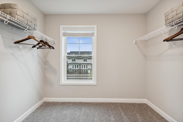 walk in closet featuring carpet