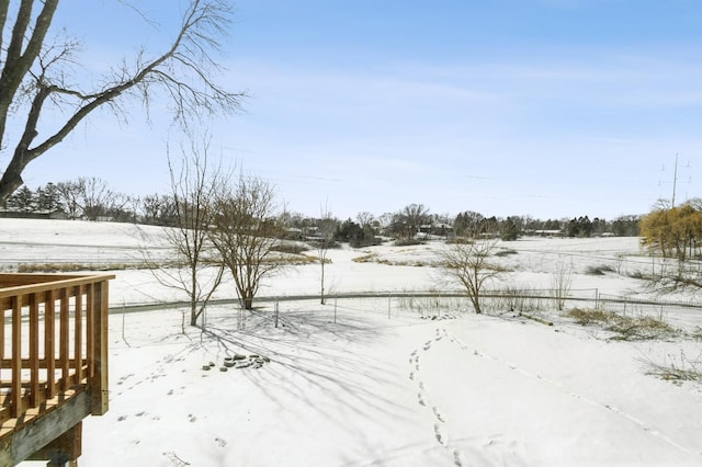 view of yard covered in snow