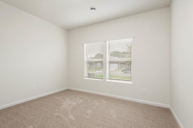 311 Florence Ave S, Annandale, MN 55302 - photo 18