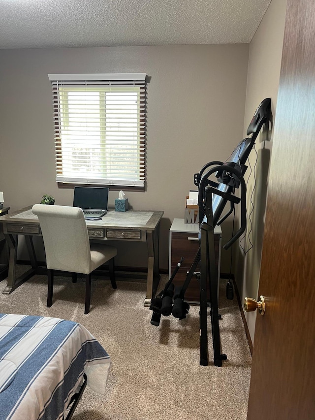 bedroom with carpet, baseboards, and a textured ceiling