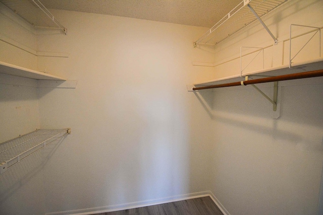 spacious closet featuring dark wood finished floors