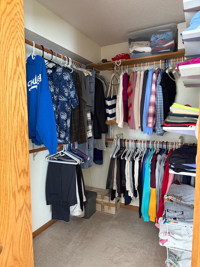 walk in closet featuring carpet flooring