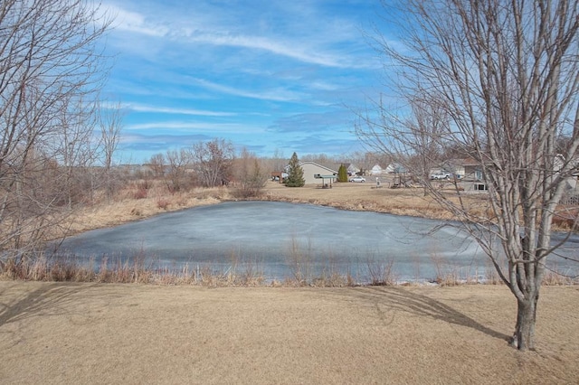 view of water feature