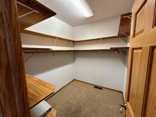 walk in closet with visible vents, built in study area, and carpet floors