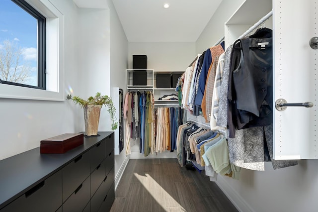 spacious closet with dark wood-style flooring