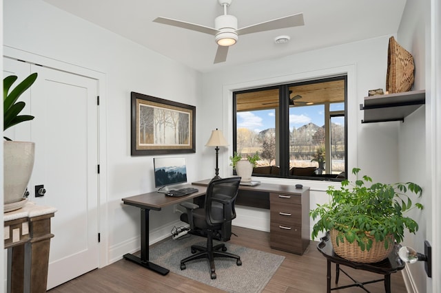 office with baseboards, dark wood-style floors, and a ceiling fan