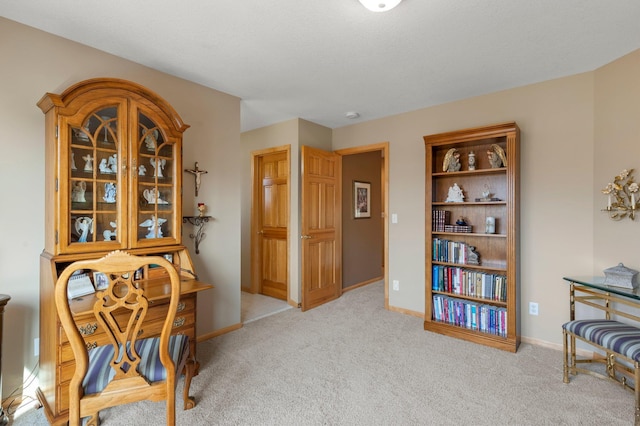 sitting room featuring baseboards and carpet floors