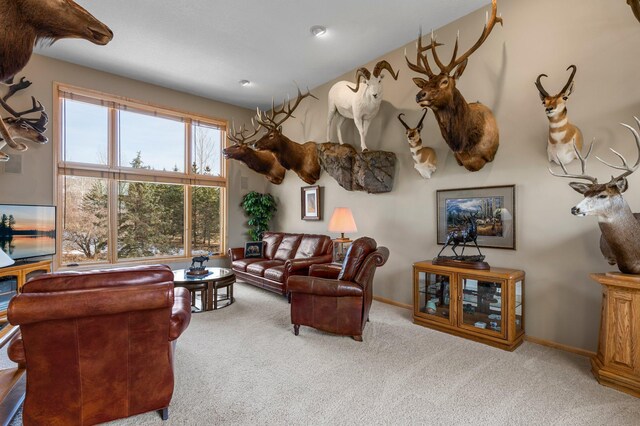 6 Troon Ct, Dellwood, MN 55110 - photo 11