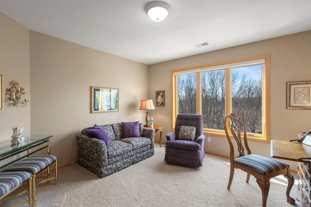 6 Troon Ct, Dellwood, MN 55110 - photo 20