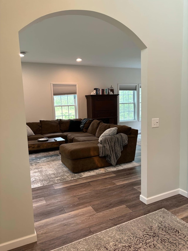 living area featuring recessed lighting, a healthy amount of sunlight, baseboards, and dark wood-style flooring