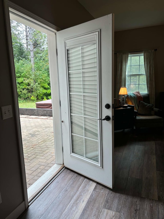 doorway featuring wood-type flooring